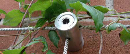 Stainless Steel Green Wall Trellis Kits